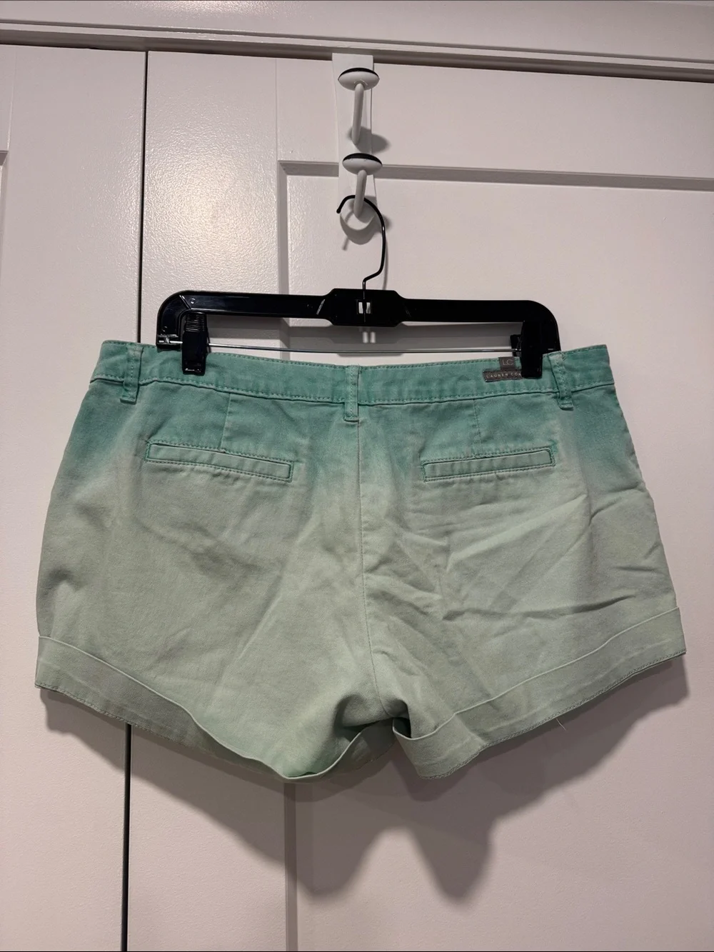 LC Lauren Conrad Mint Green Ombre Jean Shorts